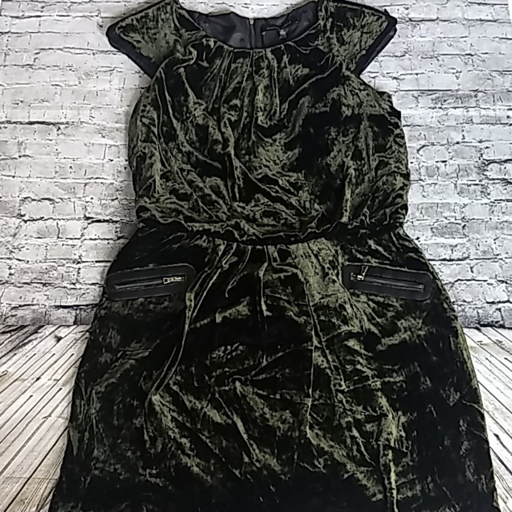 Cynthia Steffe Velvet Dress